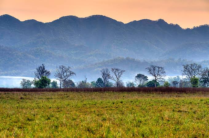 Landscape at Jim Corbett