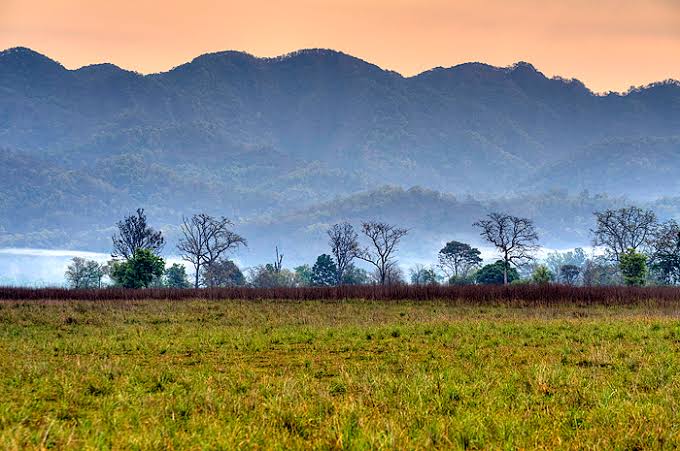 The Safari Experience: Jim Corbett National Park