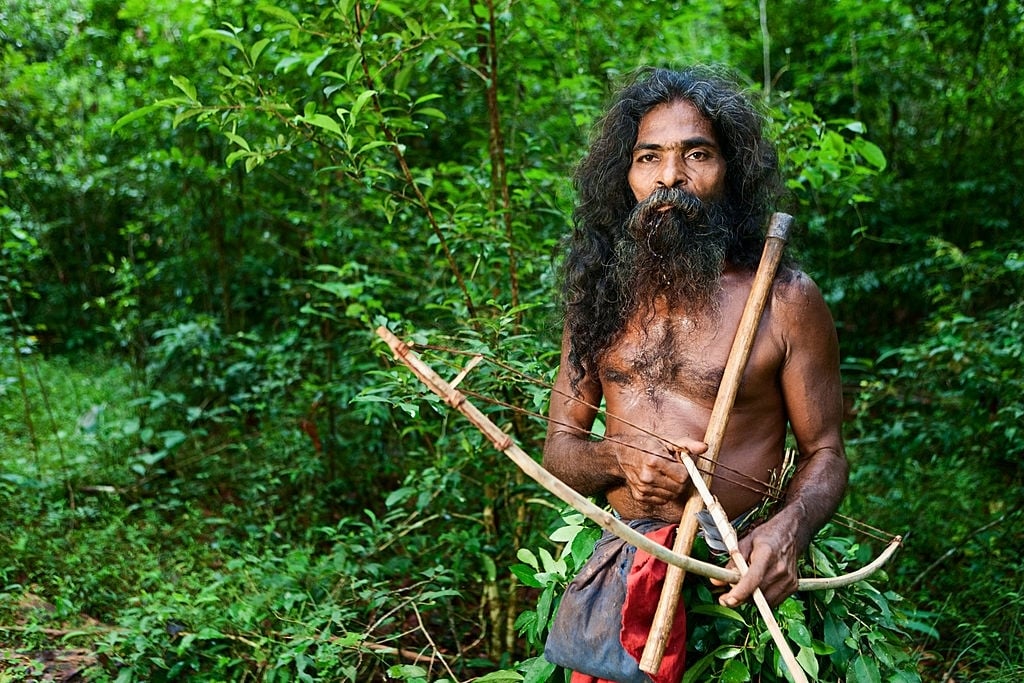 tiger hunting in india