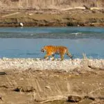 the 5 zones of corbett national park