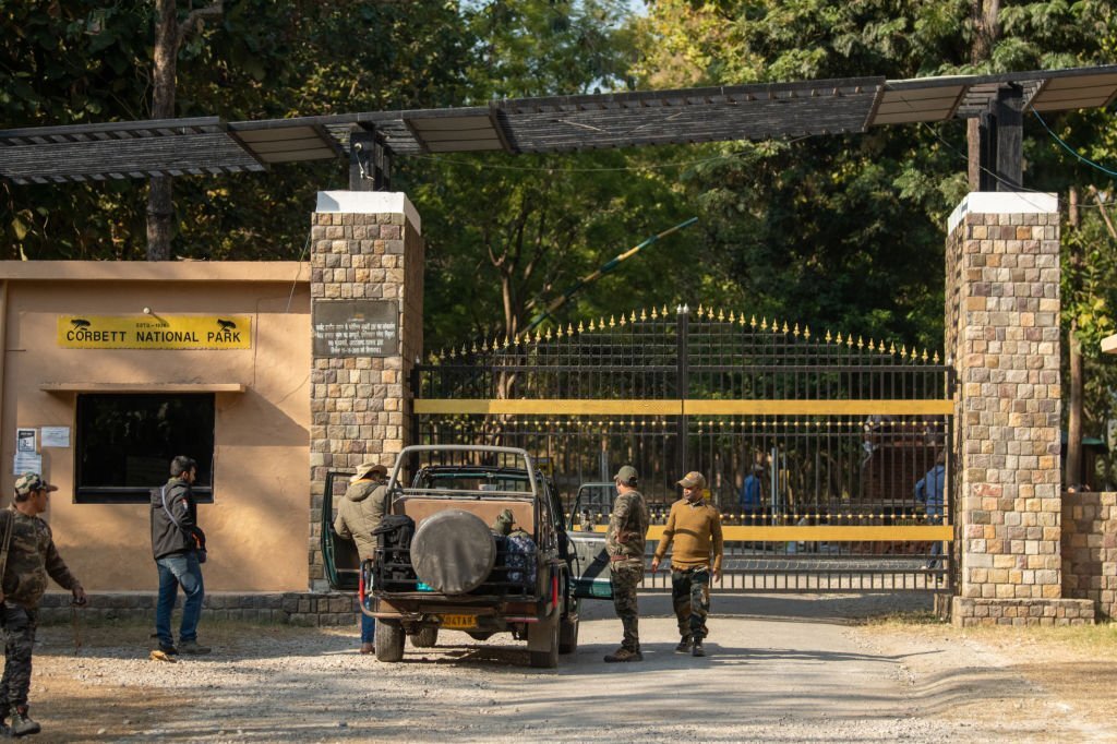 jim corbett national park dhikala zone