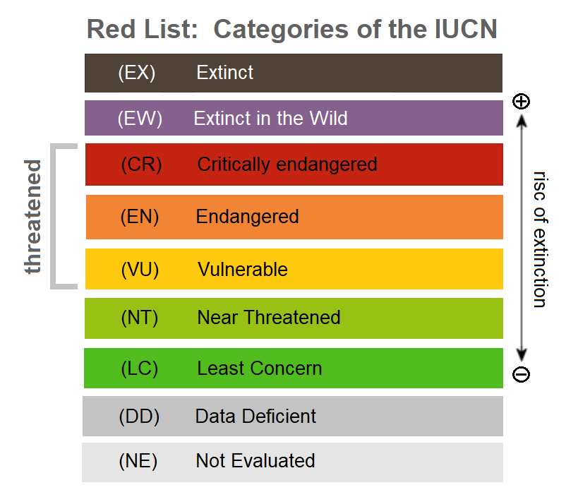 Birds and the Red List: IUCN Red List update 2020