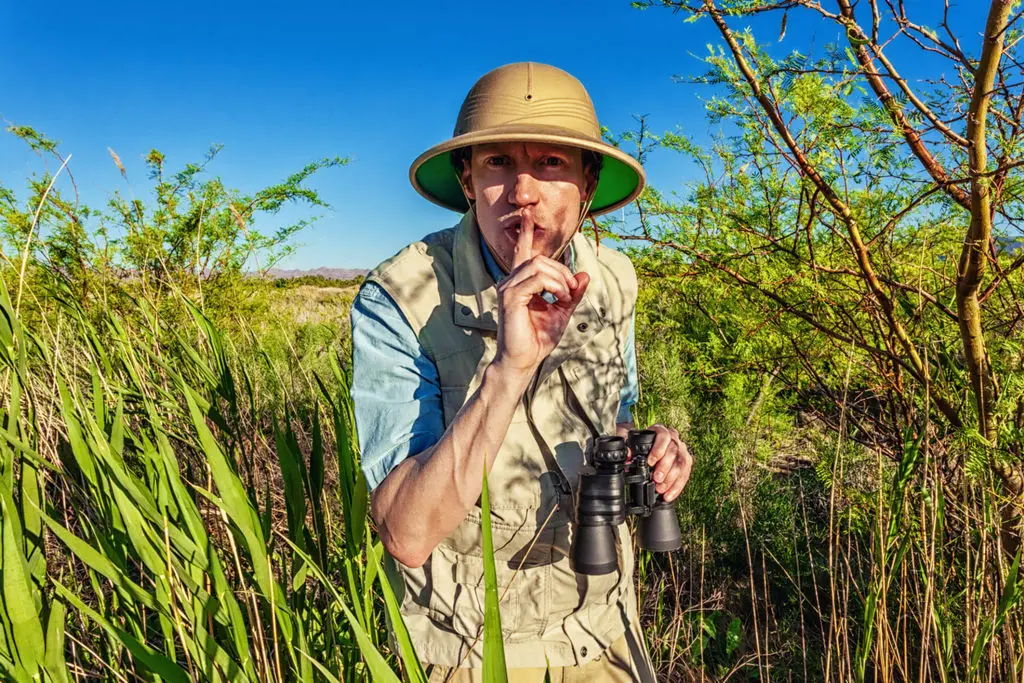wearing light colour clothes during safari and birdwatching in india