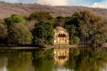 Orans – The Sacred Groves of Rajasthan