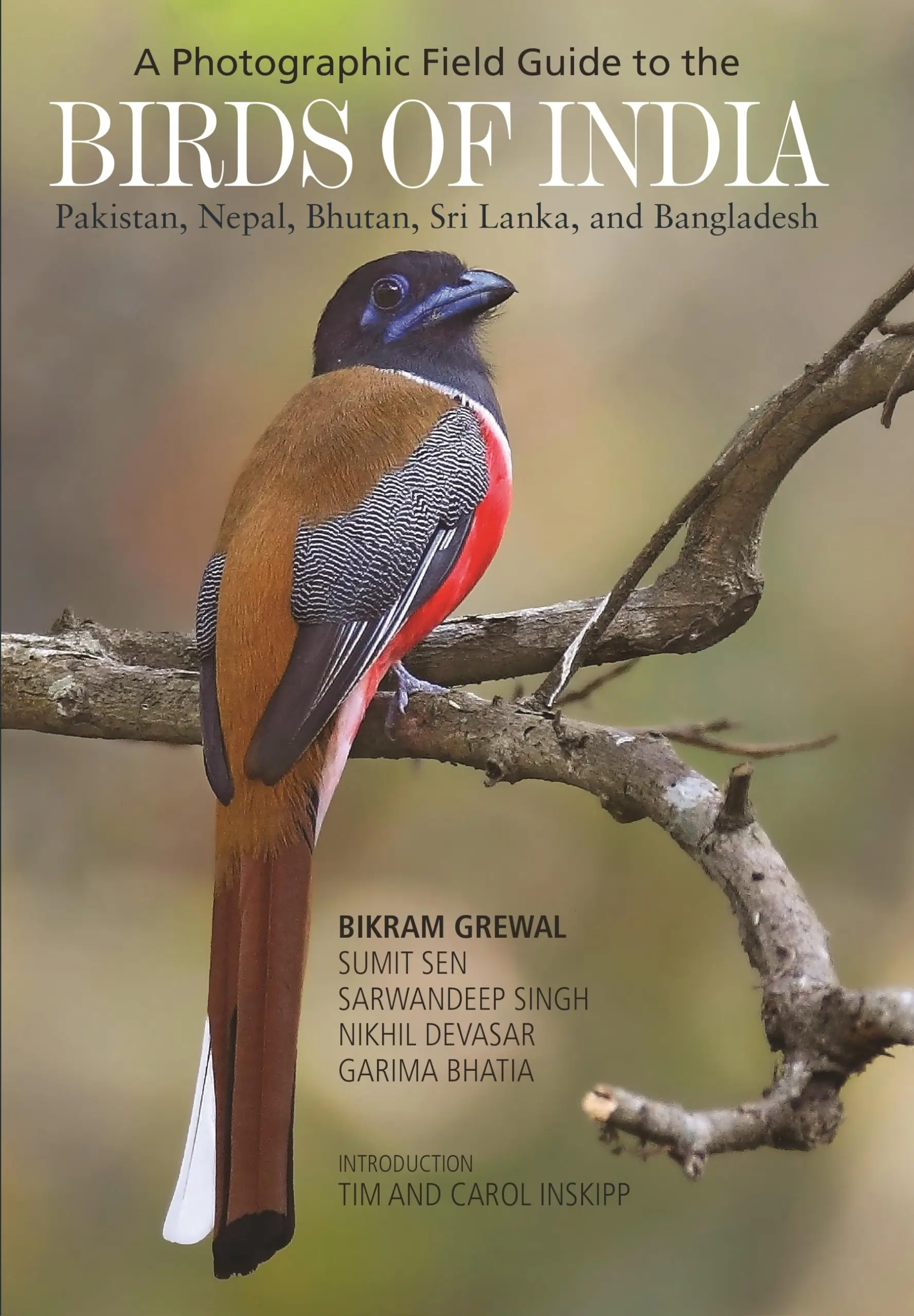 Birds of India – A Pictorial Field Guide