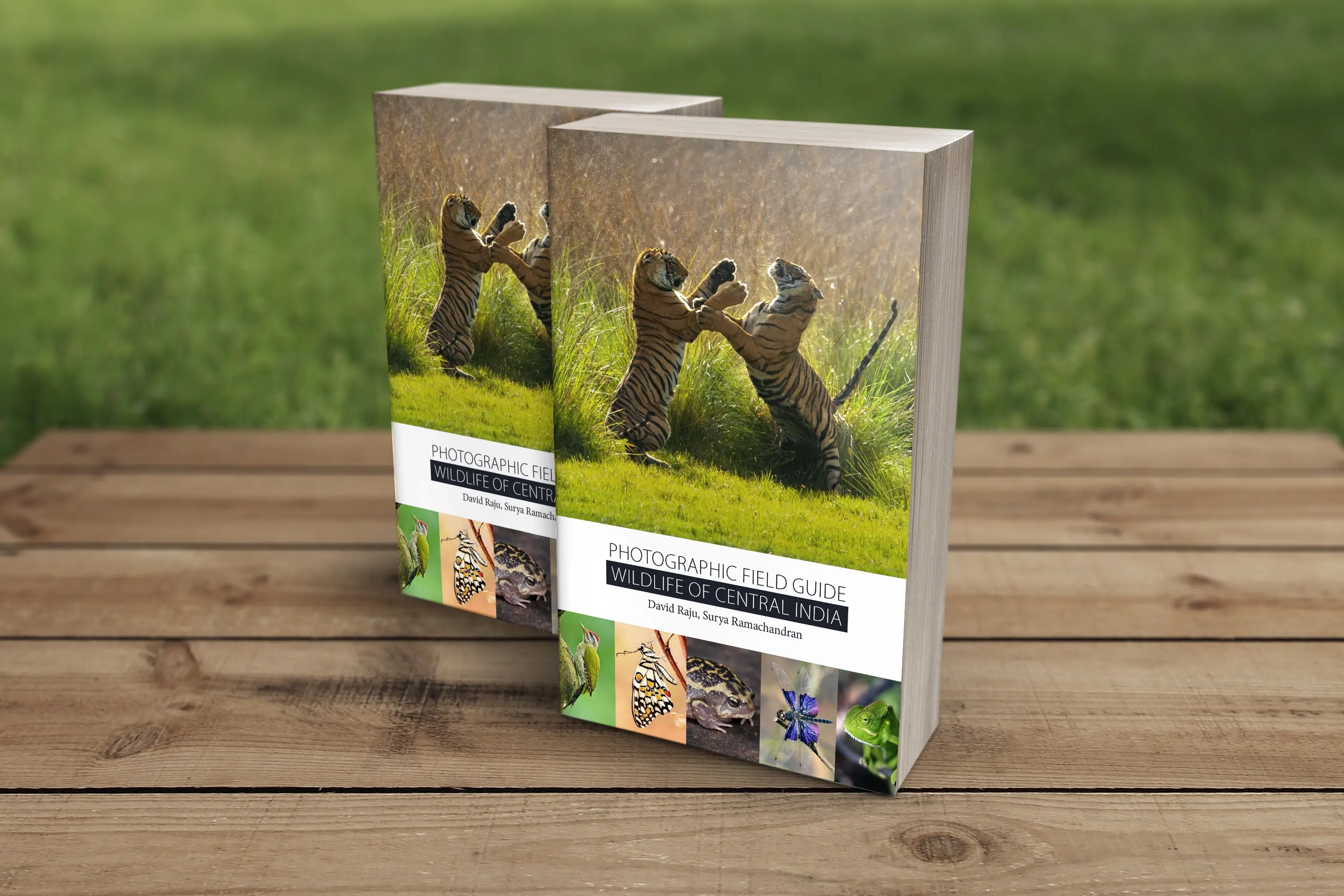 photographic field guide wildlife of central india by david raju and surya ramachandran (1)