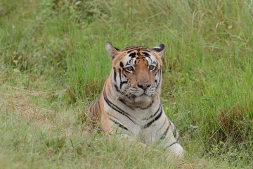 Pattawala a success story of rehabilitation