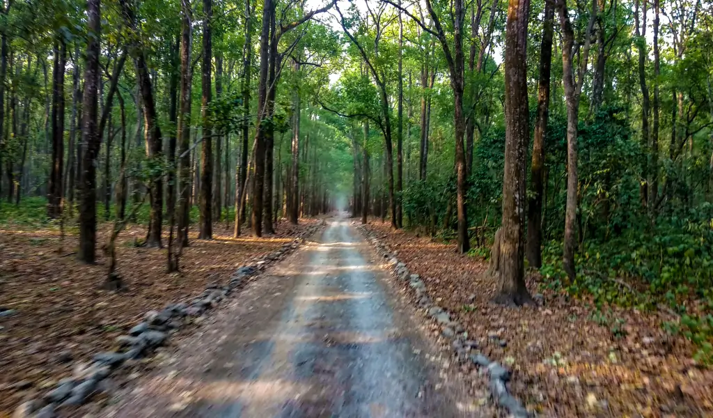 Jim Corbett National park Tiger Reserve in India Jim Corbett National park Tiger Reserve in India