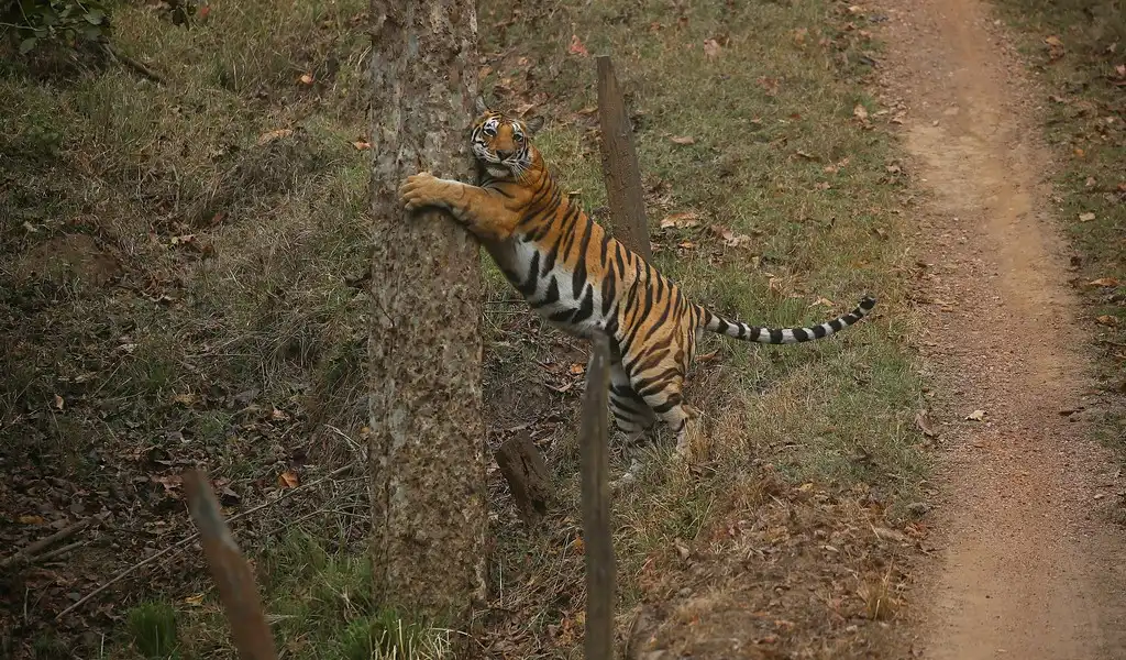 MV3 marking her territory in mikki zone