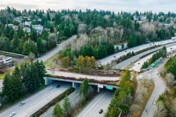 Aerial View of Bridge with Wildlife Corridor