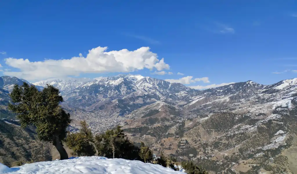 best time for snow leopard expedition