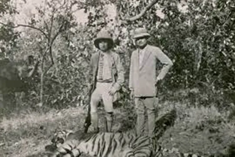 tiger hunting in india - 4