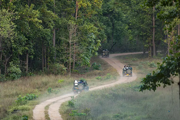 wildlife jeep safari at kanha national park