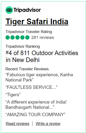 Tripadvisor Widget